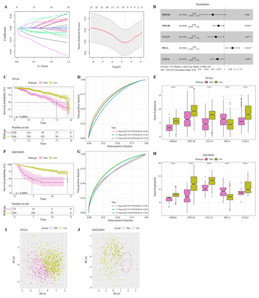 Construction and validation of RiskScore model.