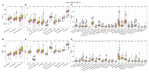 Differences in immune microenvironment among different risk groups.