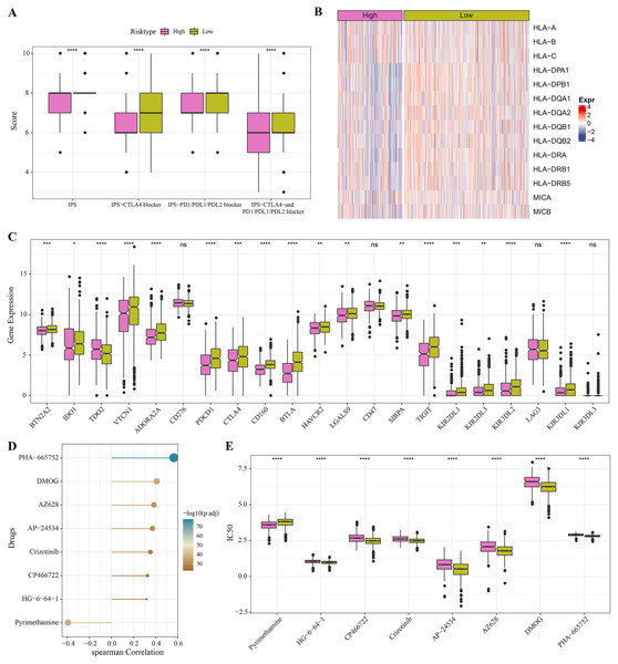 Immunotherapy and drug sensitivity.