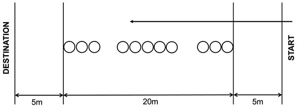 Rhythmic sprint test.