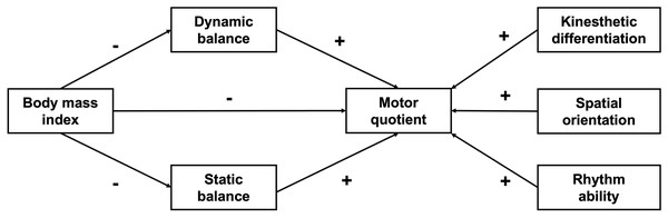 The model of BMI, BCC and GMC.