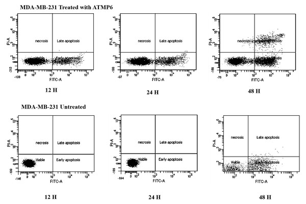 Apoptosis detection results by Annexin V FTIC-A assay.