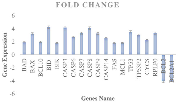 The cell cycle gene expression profile in MDA-MB-231 cells.