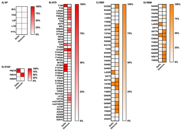 Comparing the percentage of frequency mutations between Delta and Omicron variant isolates in the S1 subunit of spike SARS-CoV-2.