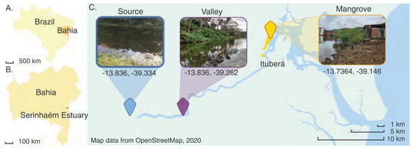 Map of the Juliana River basin sediment sampling sites used in this study.