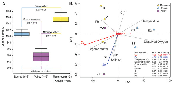 Prokaryotic population characteristics.