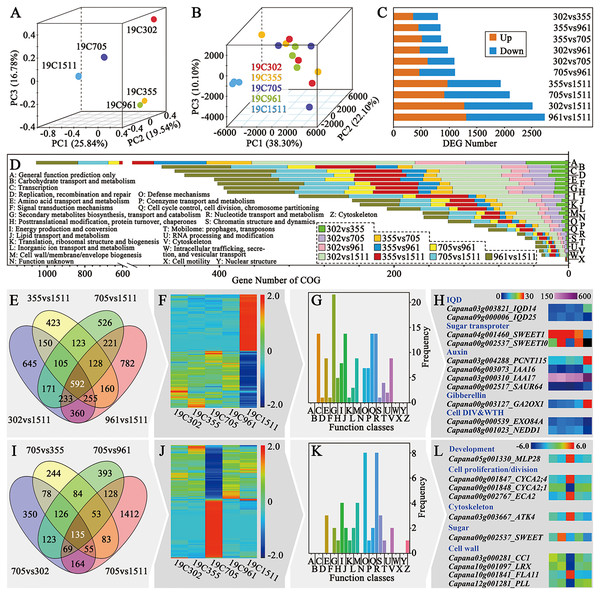 Overview of transcriptional analysis and comparison of helical and non-helical samples.