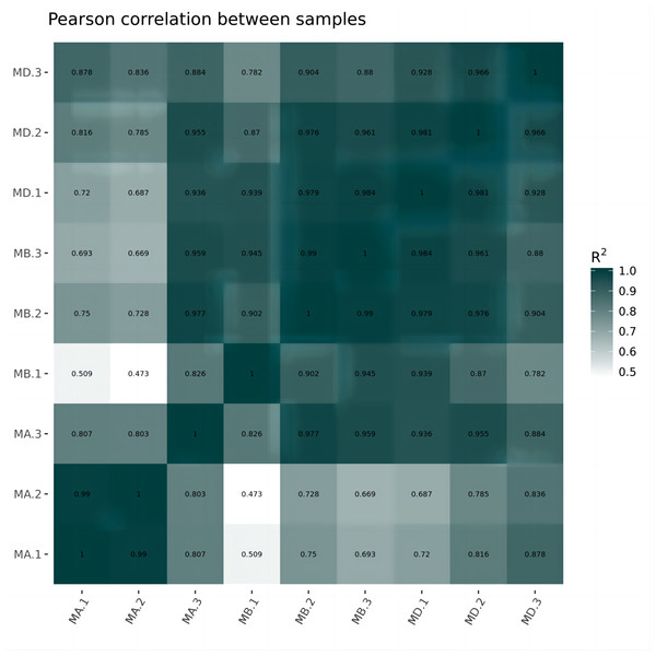 Horizontal hierarchical clustering of different samples.