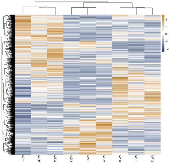 Cluster analysis of different genes among of Groups MB, MD and MA.