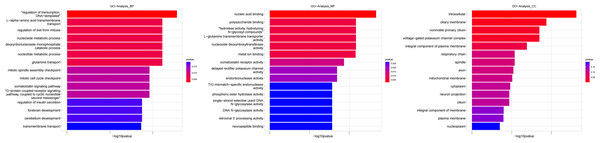 Gene ontology (GO) analysis of biological process and molecular function between Groups MB and MA.