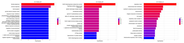 Gene ontology (GO) analysis of biological process and molecular function between Groups MD and MA.