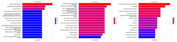 Gene ontology (GO) analysis of biological processes and molecular function between Groups MD and MB.