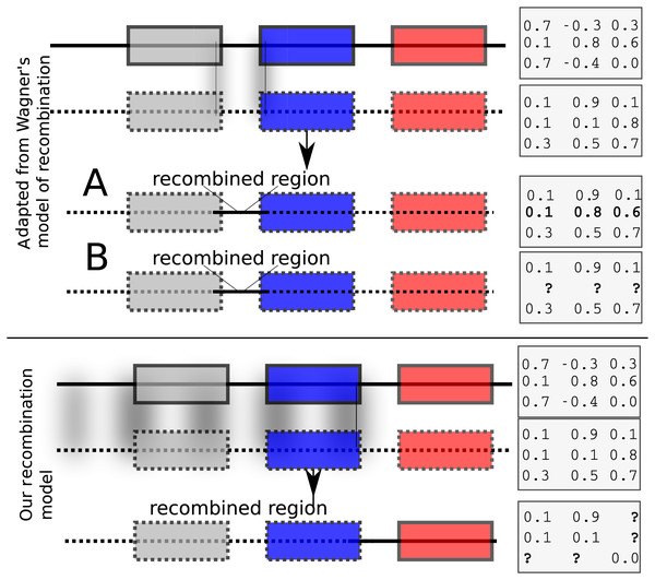 Recombination models implemented by EvoNET.