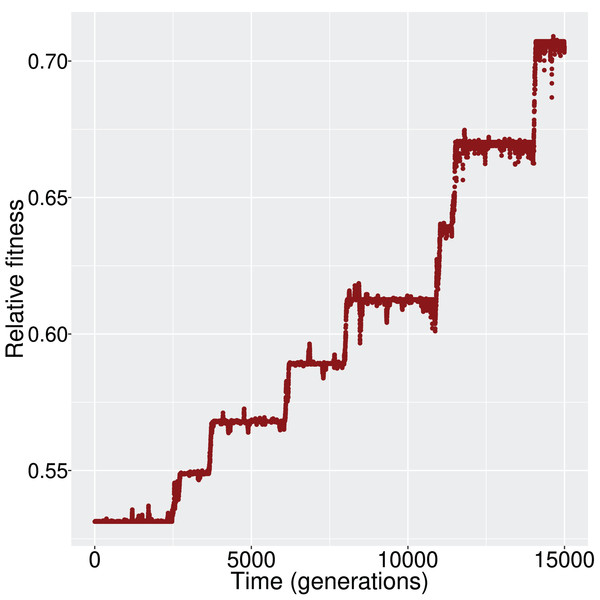 The increment in average fitness of the population is taking place in discrete steps, in a ladder-like fashion.