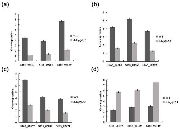 RT-qPCR analysis of gene expression.