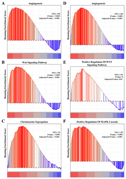 The gene set enrichment analysis (GSEA) for PCOS and RSA related biological process identifying.