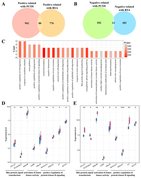 Identifying the shared genes between PCOS and RSA samples.