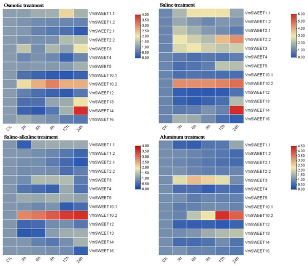 Gene expression heatmap of the VmSWEET genes in cranberry leaves under various abiotic stresses.