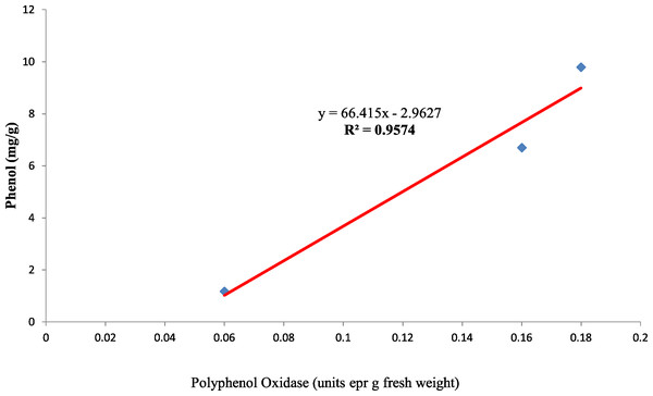 Simple linear regression analysis of polyphenol oxidase activity and phenol concentration in seed coat of three maize genotypes.