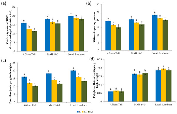 Antioxidant enzyme activity in seed coat of maize genotypes (African Tall, MAH 14-5 and local landrace) before and after ageing.