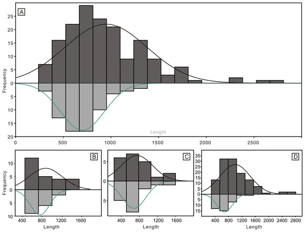 Histograms of the length of all conodont elements from the bedding planes and the acid-dissolution method.