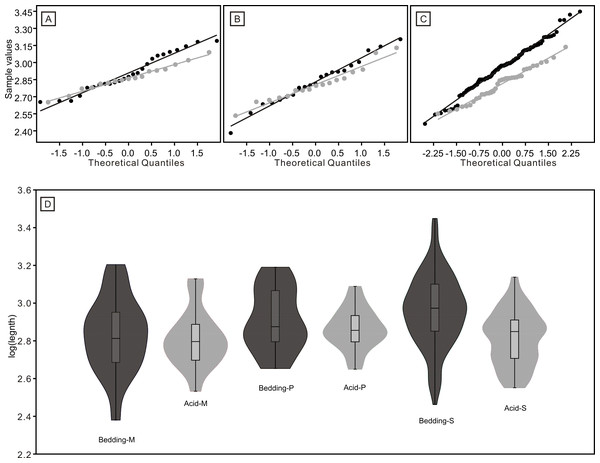 Distributions of length (after logarithmisation) for different conodont elements from the bedding planes and residues after acid-dissolving.