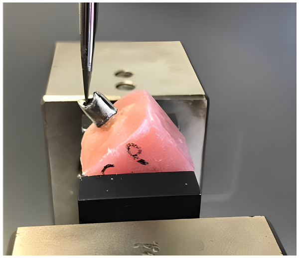 Positioning of the specimen before the fracture strength test.