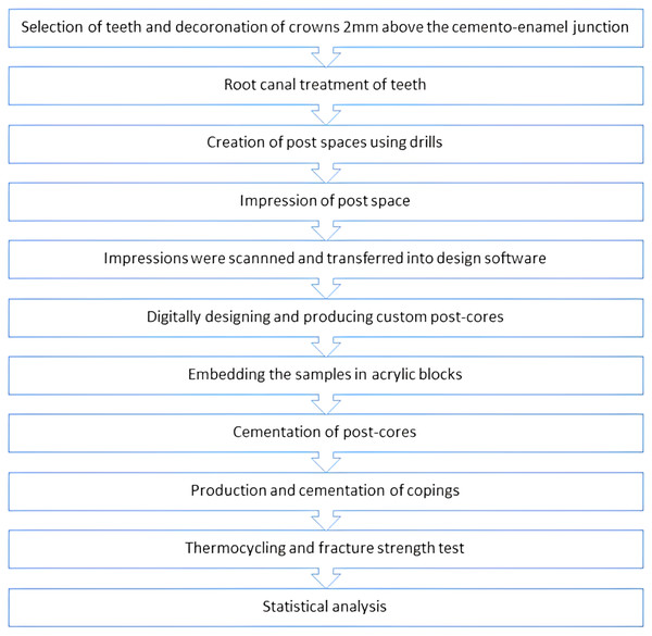 Flowchart describing the design of the study.