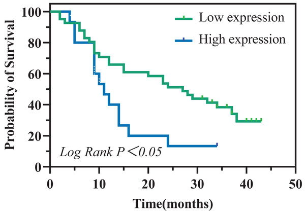 Kaplan–Meier analysis of overall survival in patients with PC.