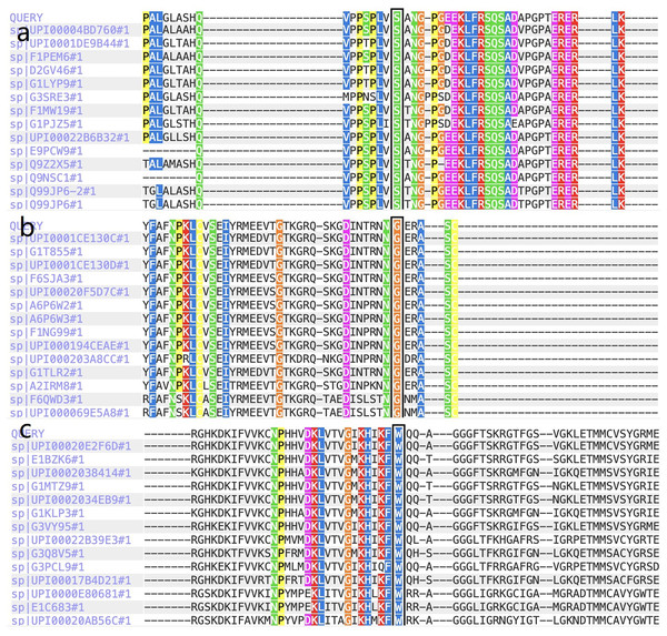 The report for cross-species conservation analysis.