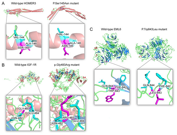 Three dimensional structures of the proteins show the sites of variants.