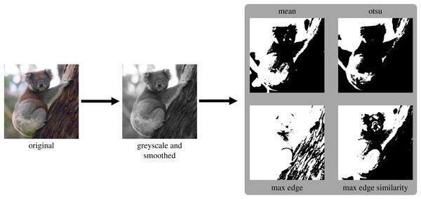 Mooney image generation pipeline applied to one example image from the THINGS dataset.