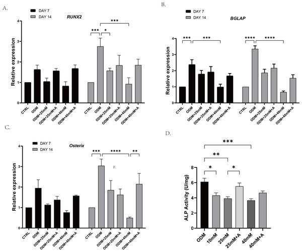 The effect of high glucose and ANXA2 on osteoblastic differentiation of PDLCs.