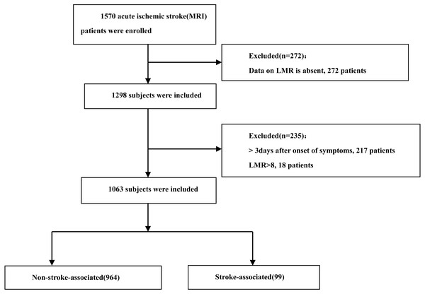 Flow chart visualizing the patient selection process.