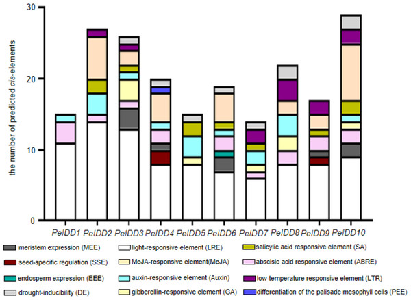 The types and numbers of predicted cis-elements in the promoter of the PeIDD genes.