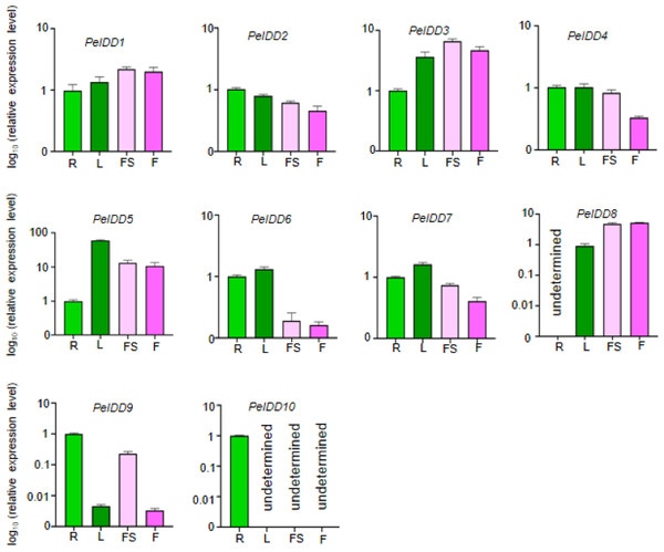 The expression profiles of PeIDD genes in roots (R), leaves (L), floral stalks (FS), and flowers (F).