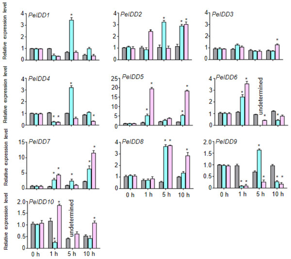 The expression patterns of PeIDDs under ABA and NAA treatment.