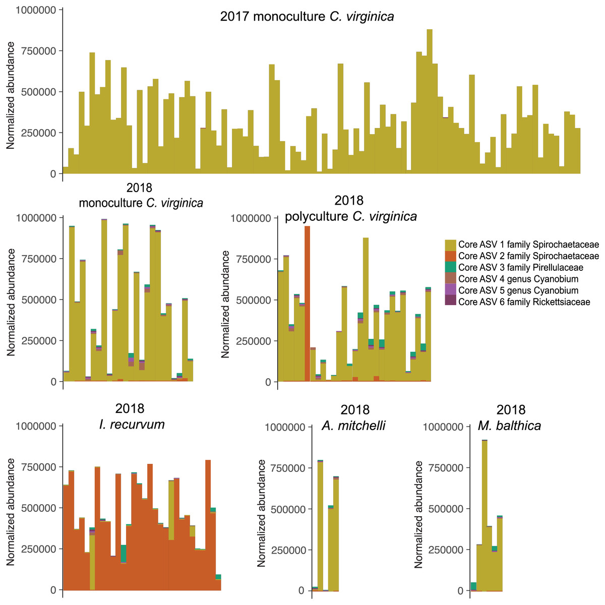 Bivalve microbiomes are shaped by host species size parasite  