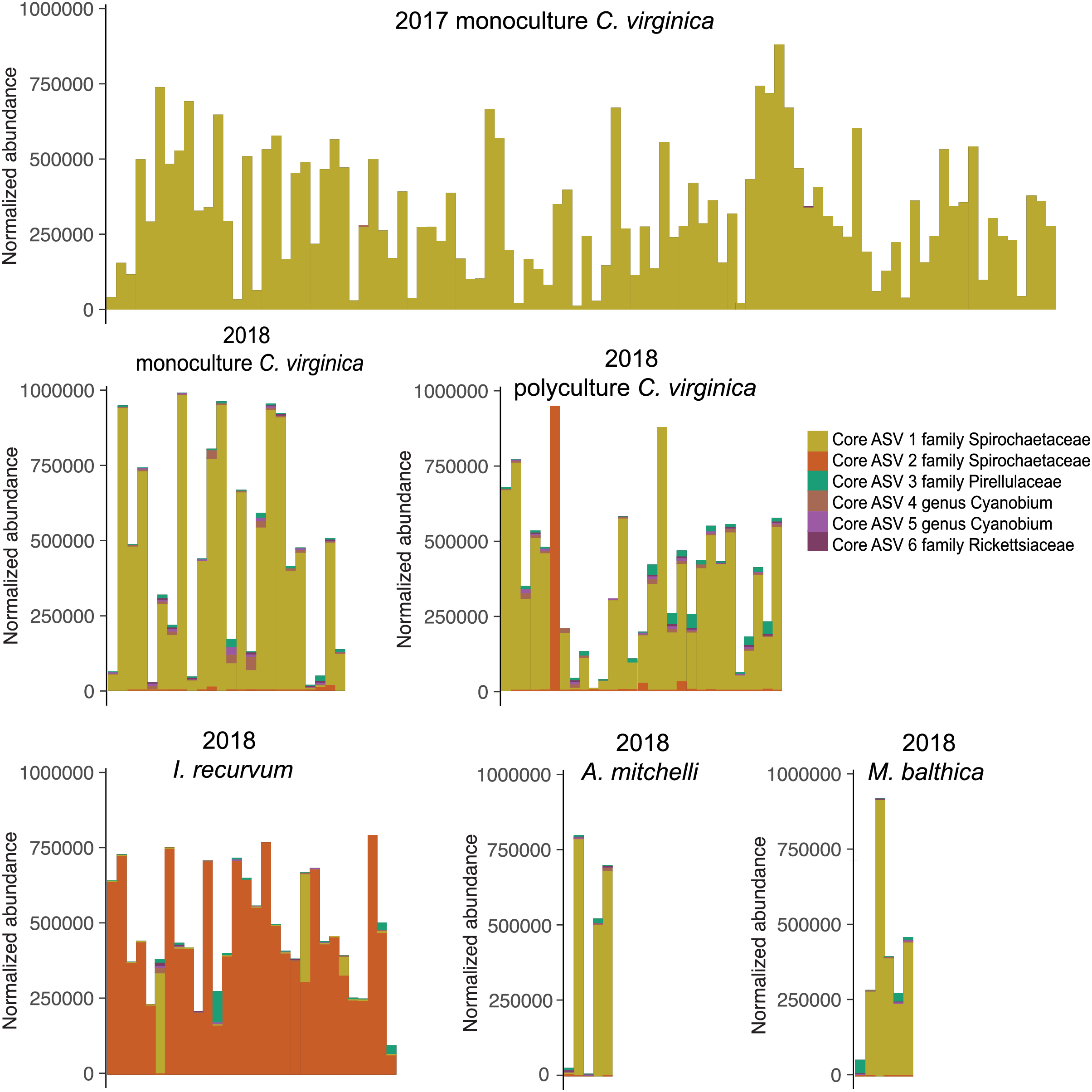 Bivalve microbiomes are shaped by host species size parasite  