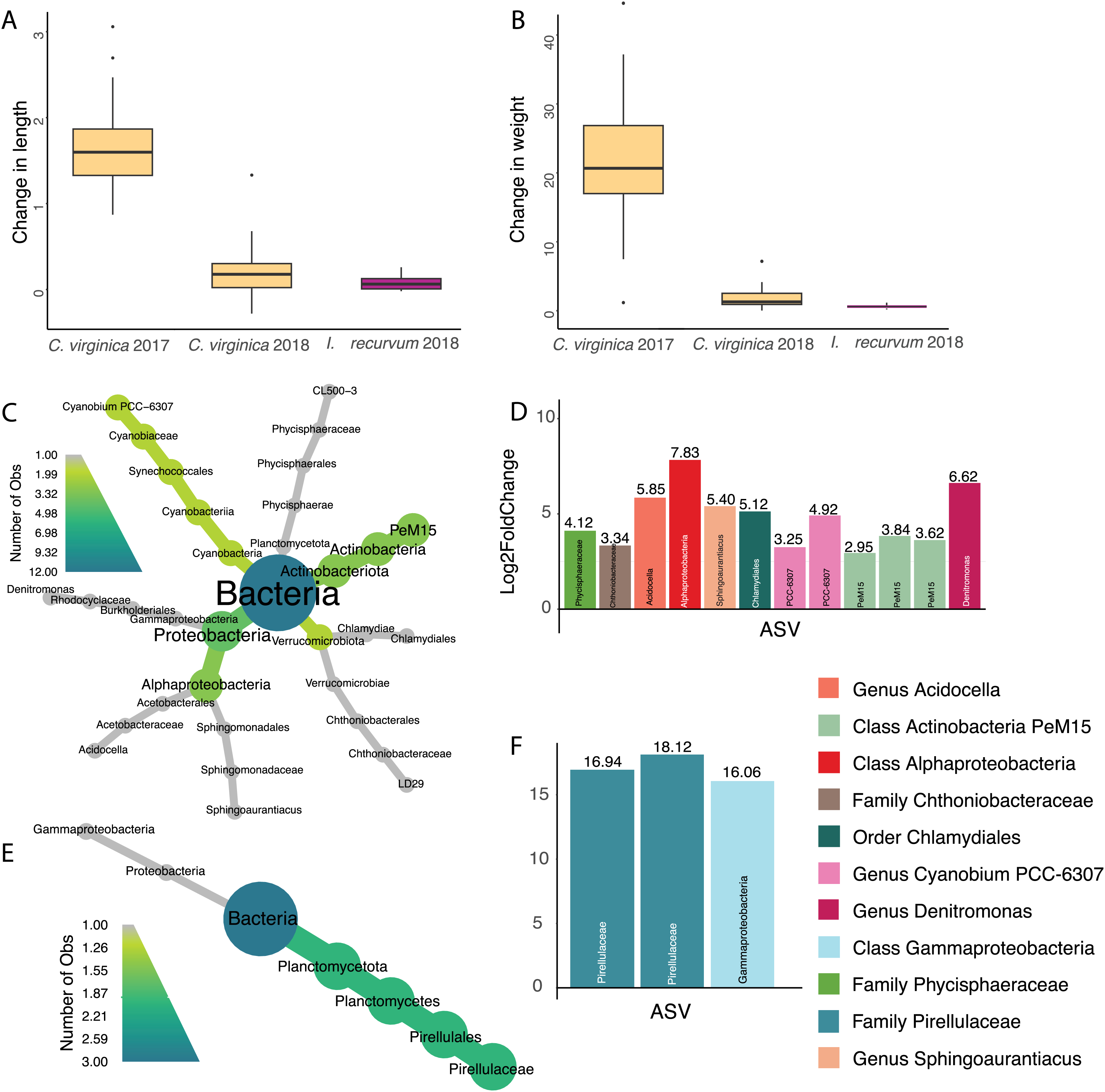 Bivalve microbiomes are shaped by host species size parasite  