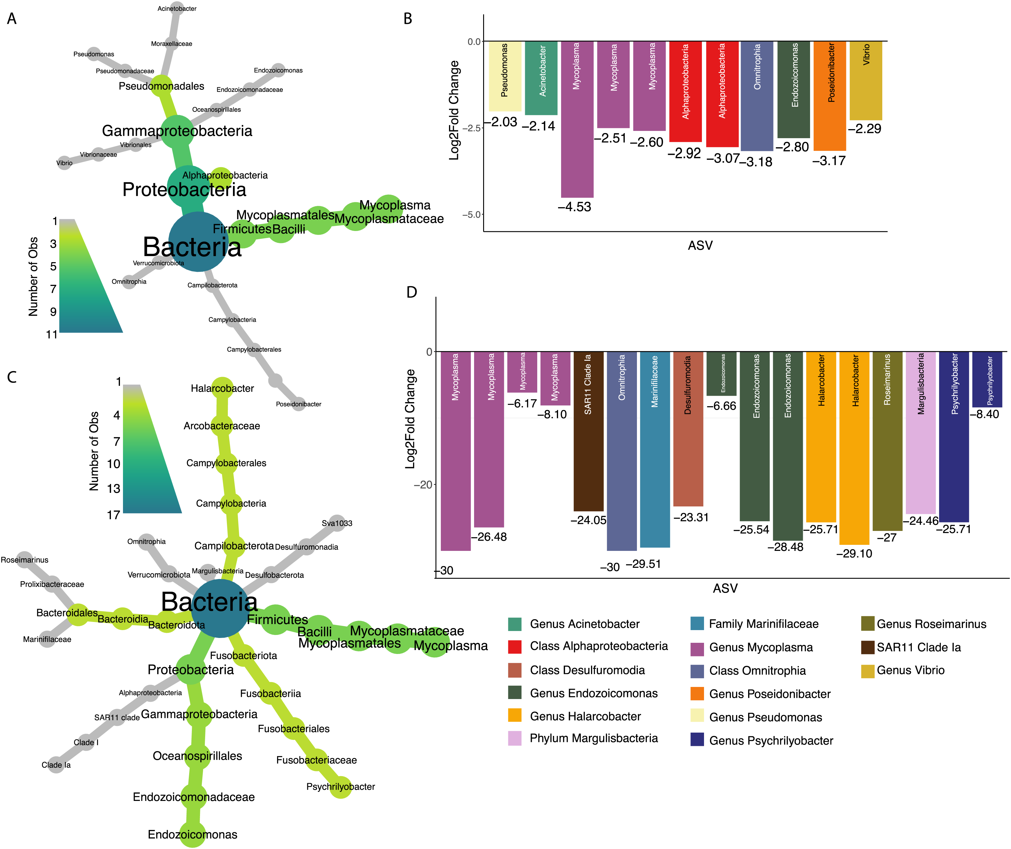 Bivalve microbiomes are shaped by host species size parasite  