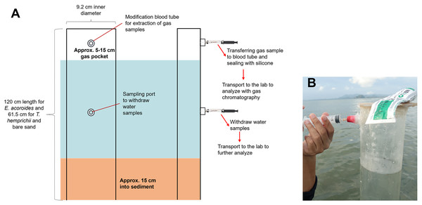 Benthic chamber method used for the sample collection.