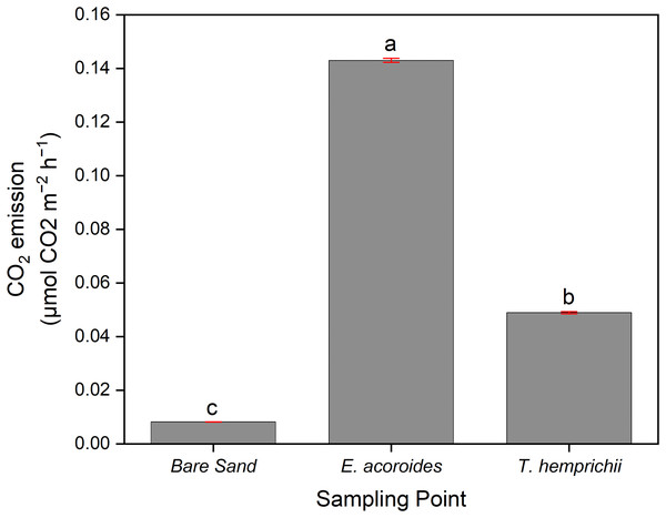 The average CO2 sediment-water surface emissions from seagrass patches and bare sand at Koh Mook.