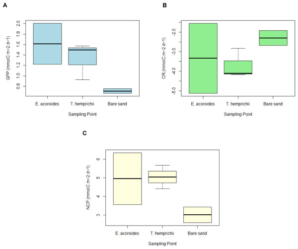 GPP, CR and NCP of two seagrass species and bare sand area.