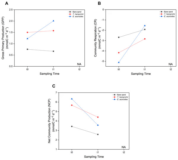 Carbon metabolism of two seagrass species and bare sand area.