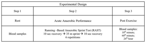 Experimental design.