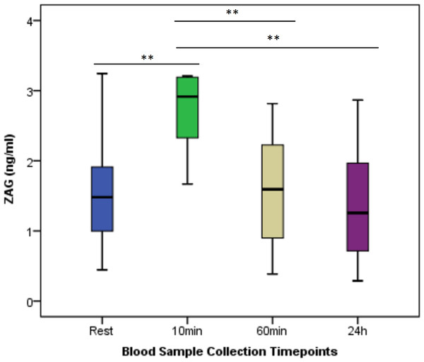 Serum ZAG concentrations at rest and after anaerobic performance.