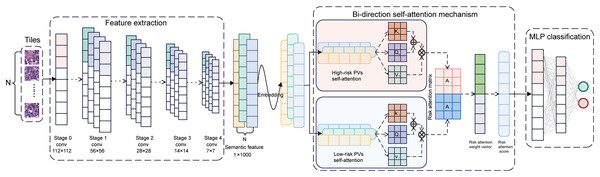 Architecture of the BiAMIL model.