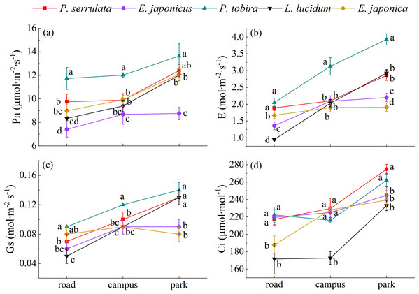 The photosynthetic gas exchange parameters response of five tree species under different pollution levels.