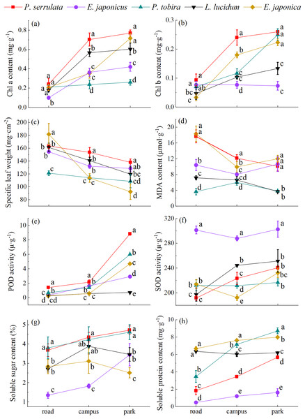 The physiological response of five tree species to different levels of PM pollution.